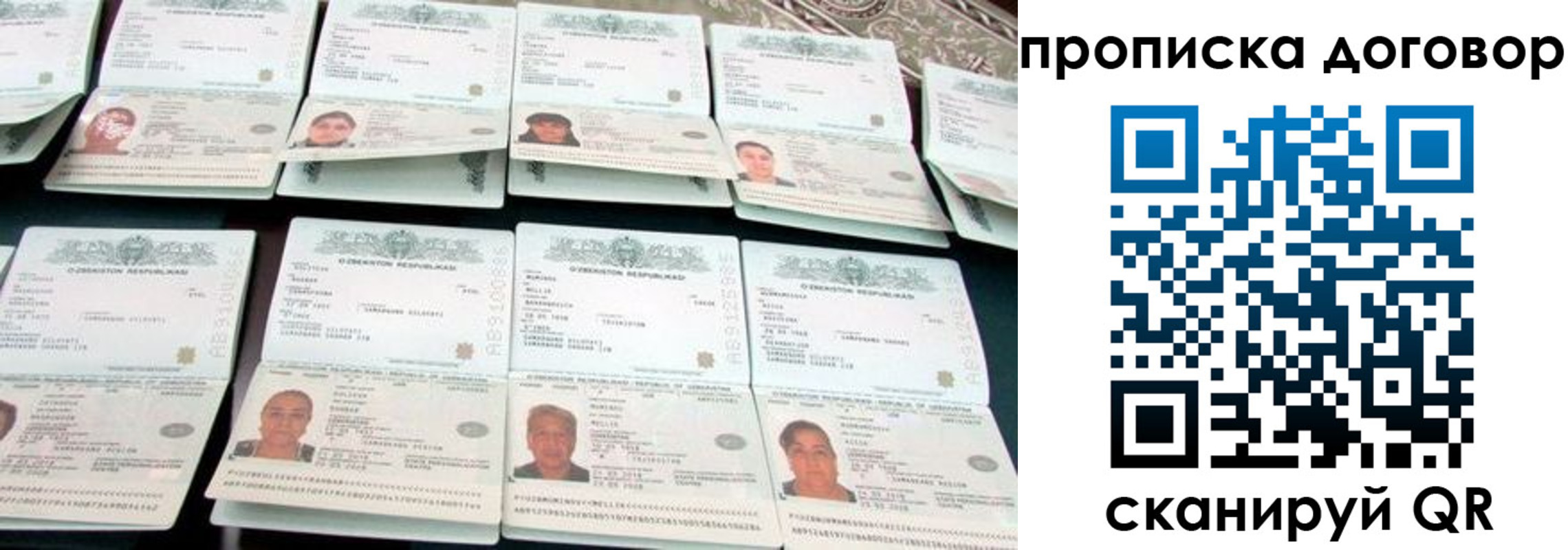 прописка для школы в Вологодской области